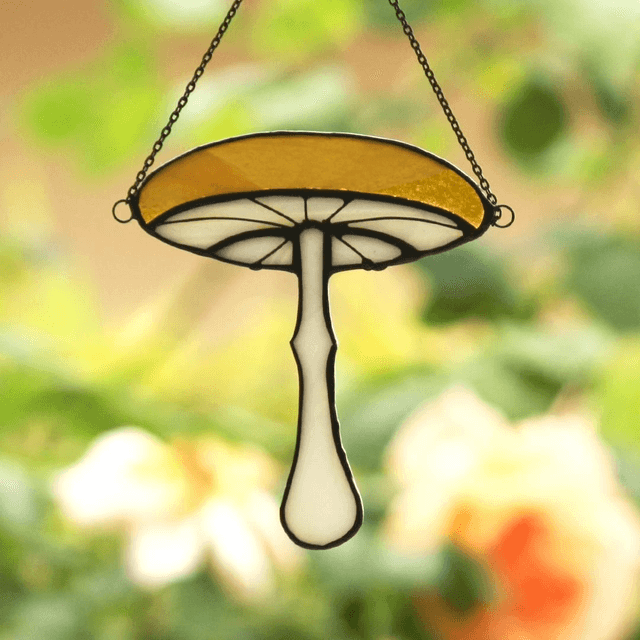Chanterelle de lumière 