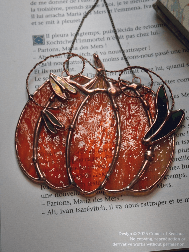 Citrouille enchantée (mûre)