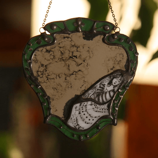 Le miroir enchanté 