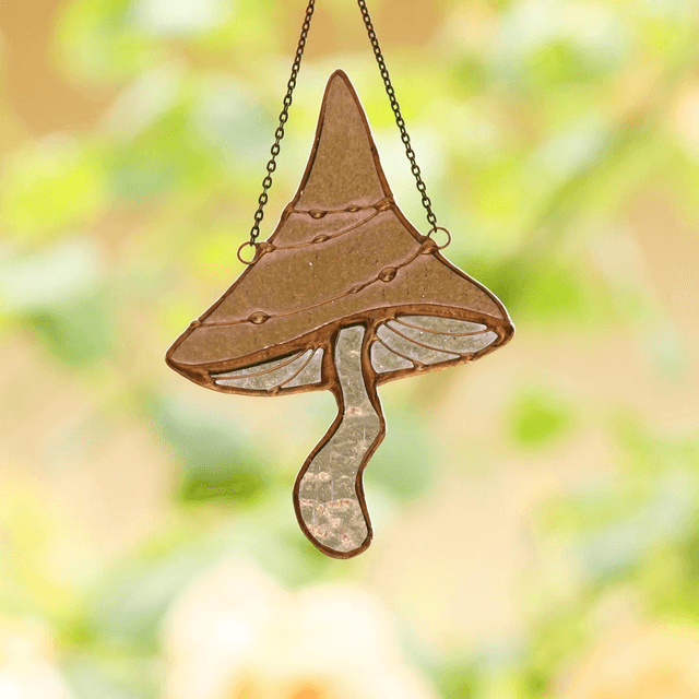Champignon du sorcier jeune