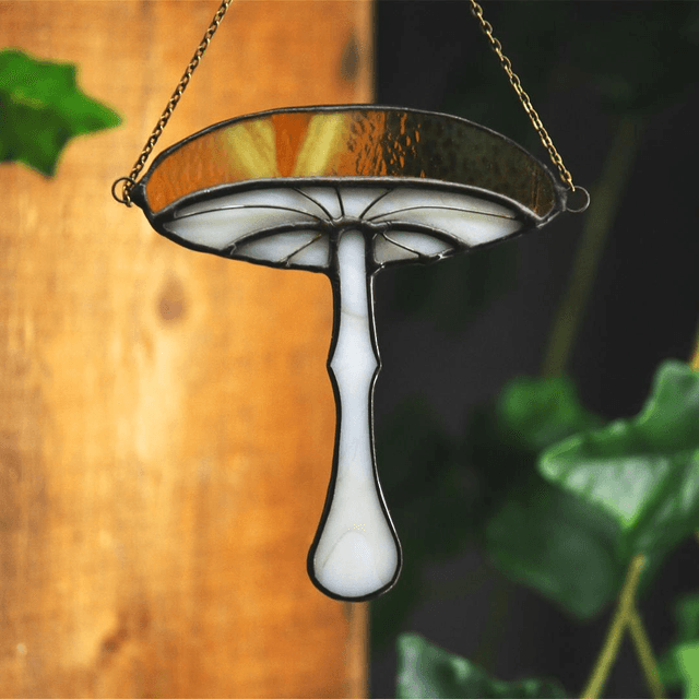 Chanterelle de lumière 